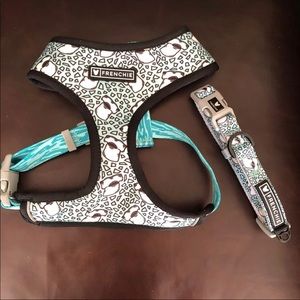 Dog harness and collar